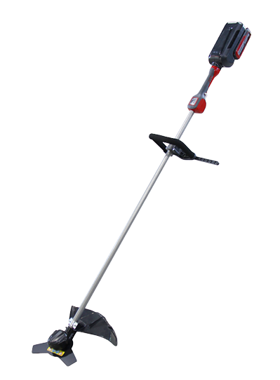 Bosmaaier